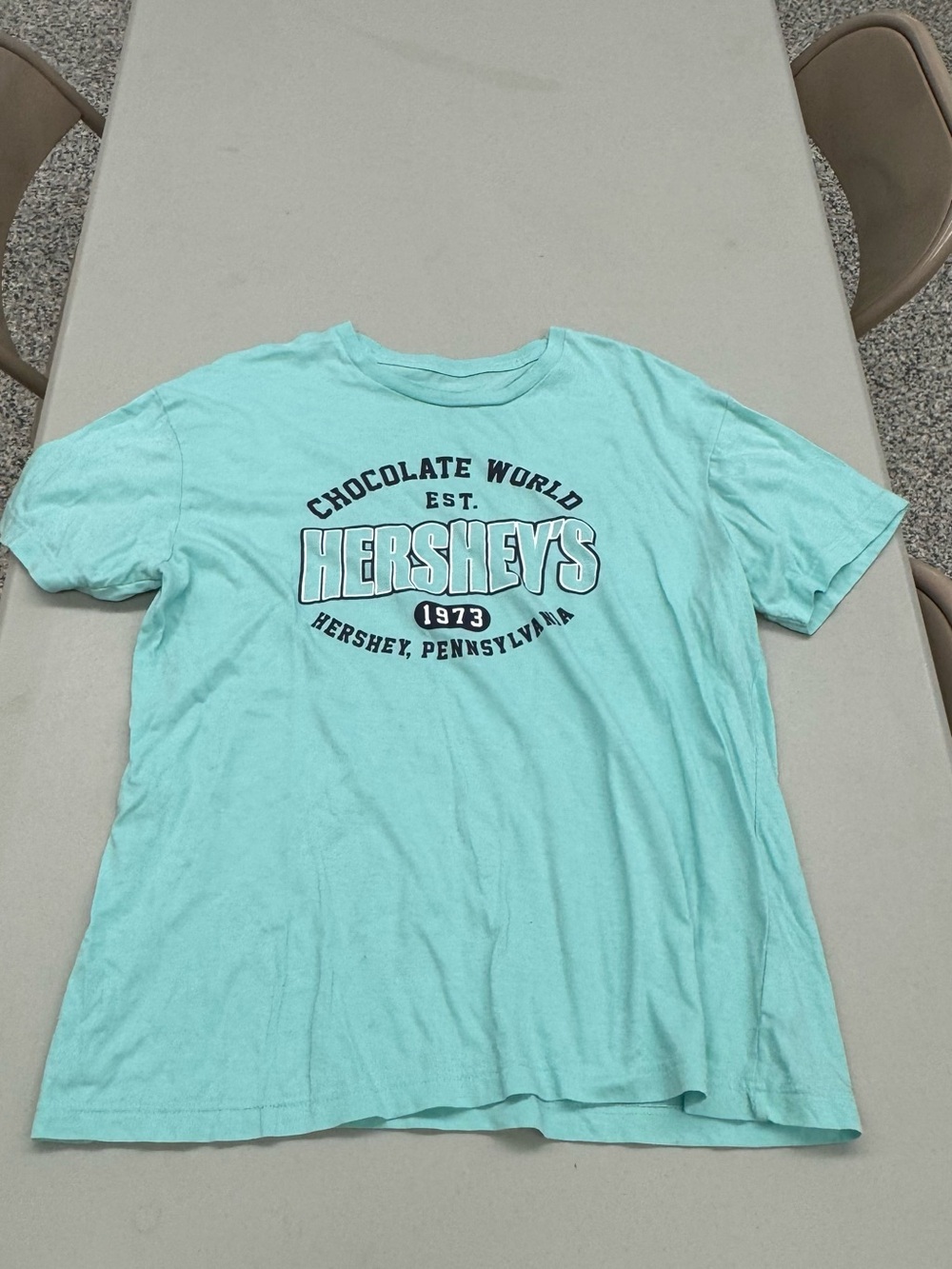 Hershey's Chocolate World Men's Mint Graphic Short Sleeve Tee 1973 Hershey Penn